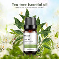 Pure Tea Tree Essential Oil — Swuffy
