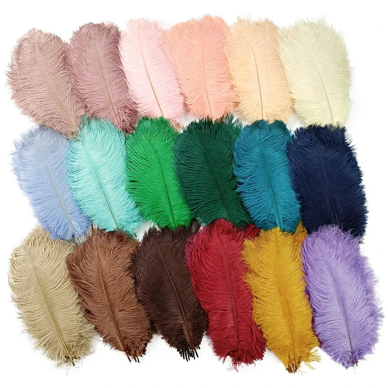 Colored Ostrich Feathers Crafts Wedding — Swuffy
