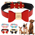 Personalized Dog Name Collar Soft — Swuffy