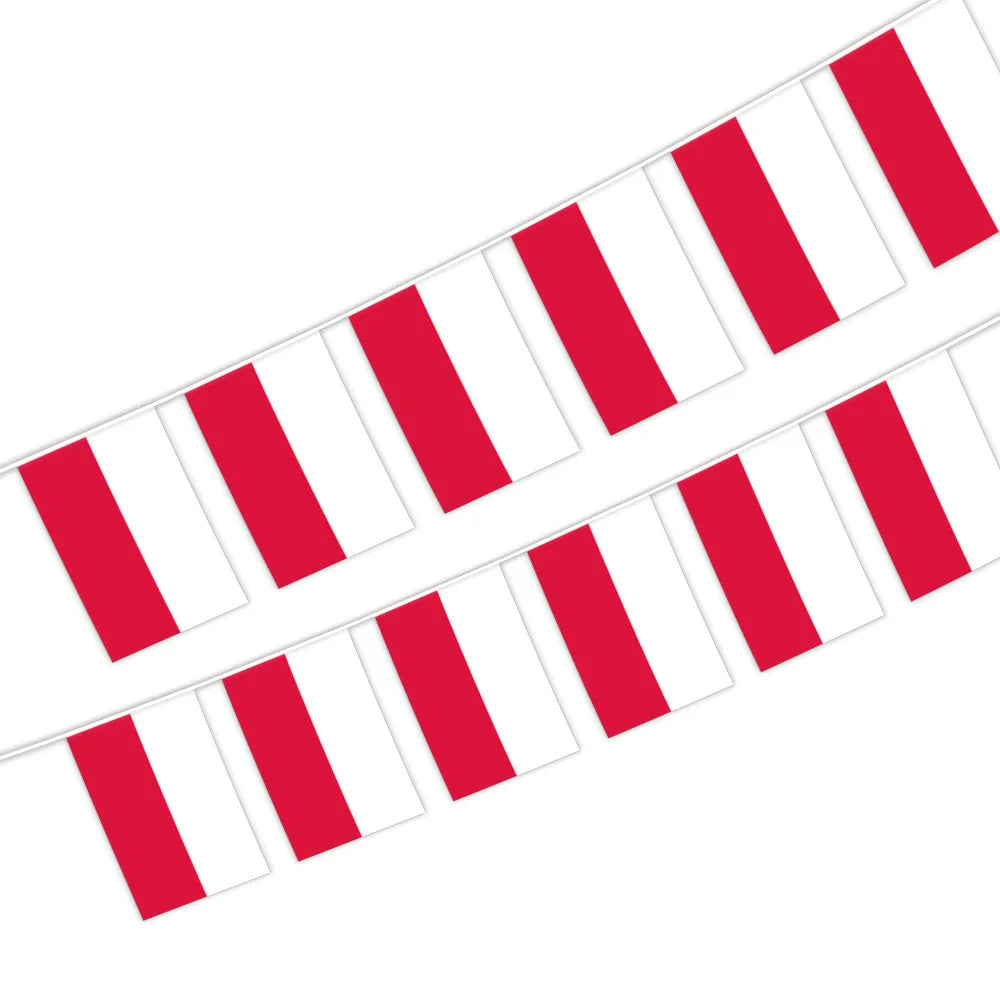 Aerlxemrbrae Poland Bunting Flags Cm — Swuffy
