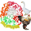 Chicken Foot Ring Colors Numbered — Swuffy