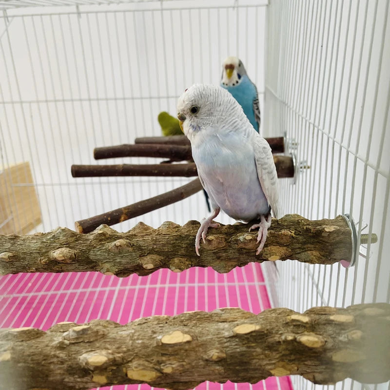 Birds Accessories Equipment Parrots Supplies — Swuffy