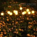 Solar LED Light Outdoor Waterproof — Swuffy