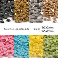 Japanese Double Seedbeads Taidian Two — Swuffy