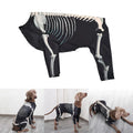 Dogs Hoodie Clothes Sweatshirt Skeleton — Swuffy