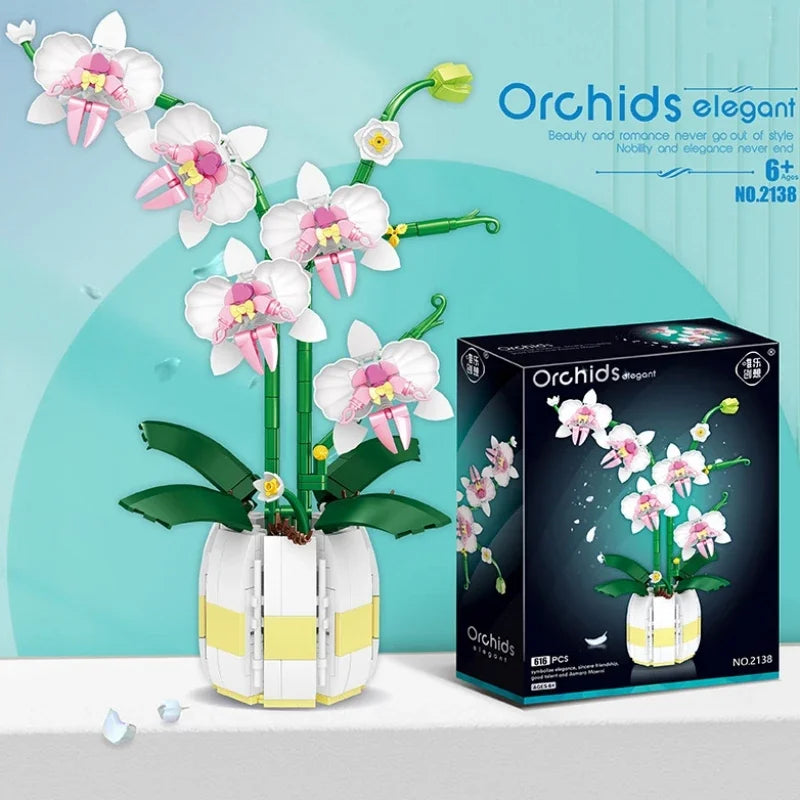 Moth Orchid Potted Building Blocks — Swuffy