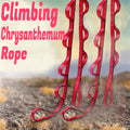 Climbing Strap Rock Daisy Chain — Swuffy