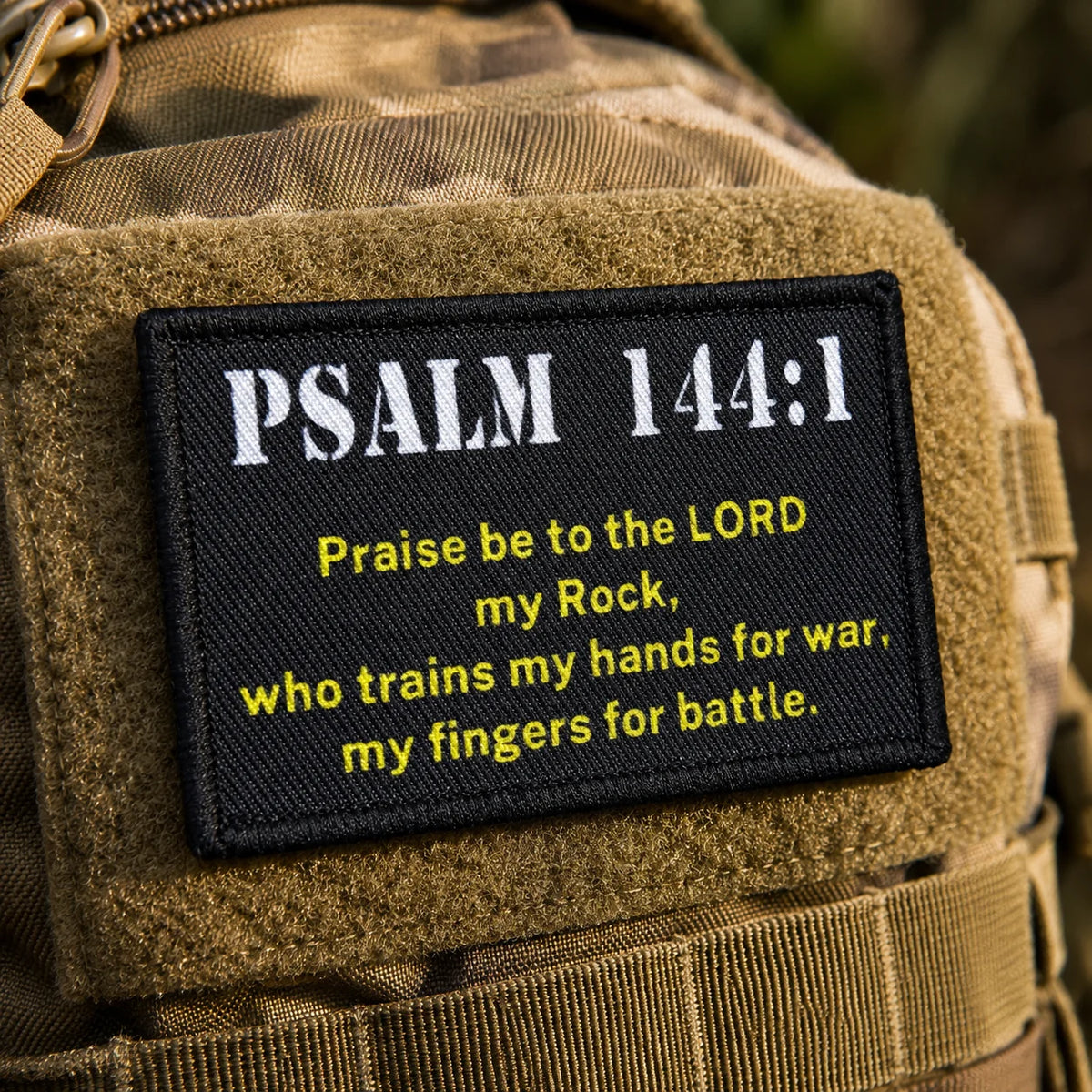 Psalm Patch Combat Badge Morale — Swuffy