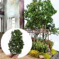 Simulation Finished Big Tree Model — Swuffy