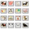 Glaze Animal Dog Panda Bear — Swuffy