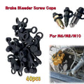 Brake Bleeder Screw Cap Grease — Swuffy
