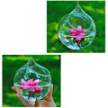 Glass Vase Hanging Ball Glass — Swuffy
