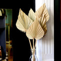 Dried Palm Leaf Fan — Swuffy