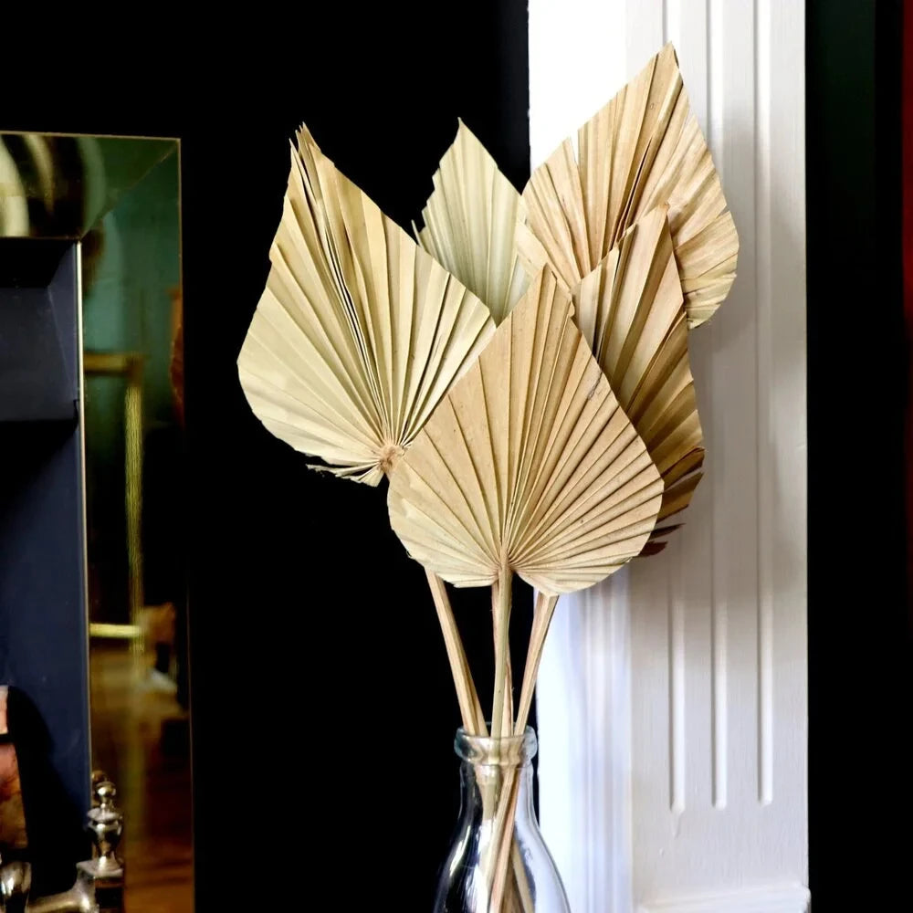 Dried Palm Leaf Fan — Swuffy