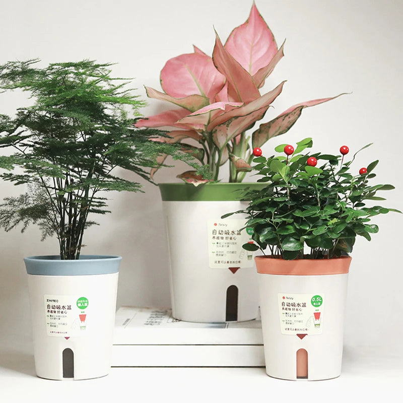 Double Layer Self Watering Hydroponics — Swuffy