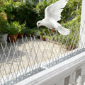 Outdoor Bird Spikes Repellent Against — Swuffy