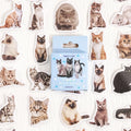 Cute Cat Decorative Stickers — Swuffy