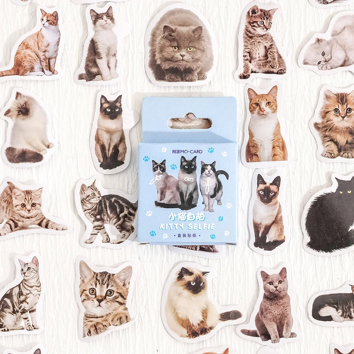 Cute Cat Decorative Stickers — Swuffy