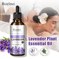 Lavender Plant Essential Oil Spa — Swuffy