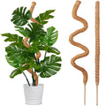 Deformable Plant Scaffold Useful Things — Swuffy