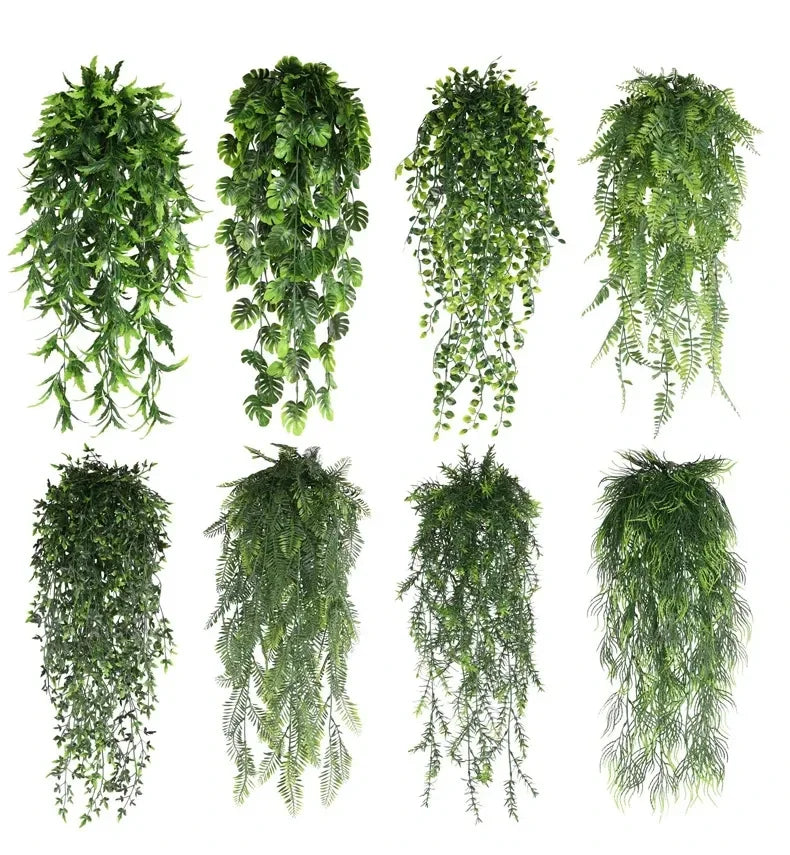 Persian Fern Leaves Vines Home — Swuffy