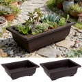 Bonsai Pots Succulents Bonsai Vase — Swuffy