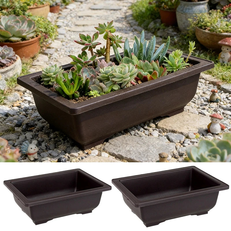 Bonsai Pots Succulents Bonsai Vase — Swuffy