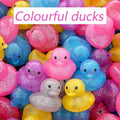 Colourful Rubber Ducks Toys Squeaky — Swuffy