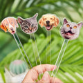 Wedding Cocktail Stirrer Custom Pet — Swuffy