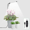 LED Plant Growth Lamp USB — Swuffy