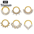 Astm Titanium Nose Rings Earrings — Swuffy