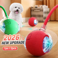 Nuvora Dog Interactive Ball Toy Automatic Rolling Dog — Nuvora