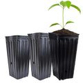 Tall Deep Tree Pots Plant — Swuffy