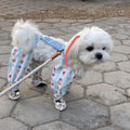 Summer Dog Jumpsuit Shoes Lightweight — Swuffy