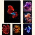 Abstract Underwater World Fish Koi — Swuffy