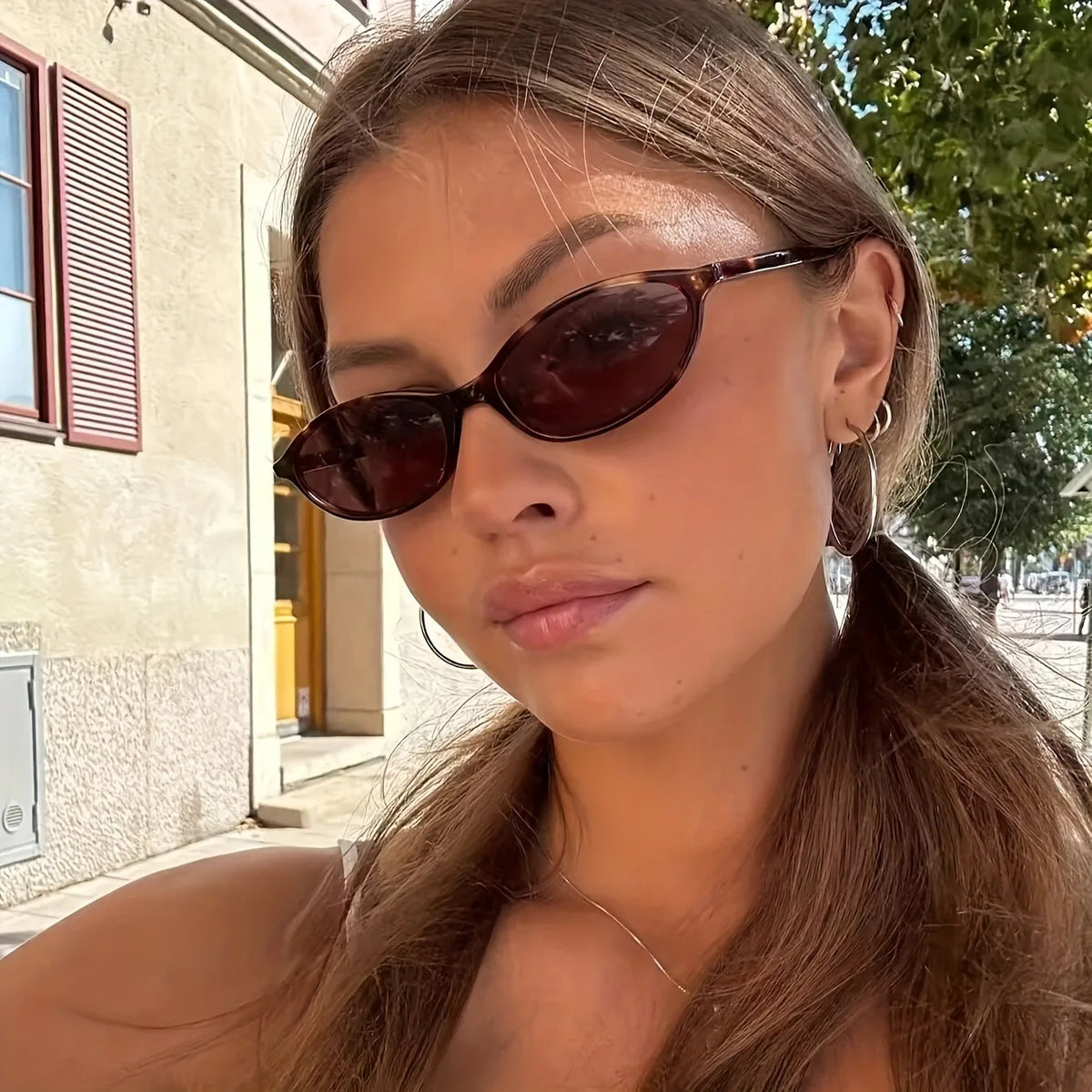 Oval Plastic Frame Classic Glasses — Swuffy