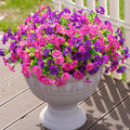 Artificial Morning Glory Flower Vine — Swuffy