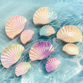 Gradient Shell Hair Clip Vacation — Swuffy