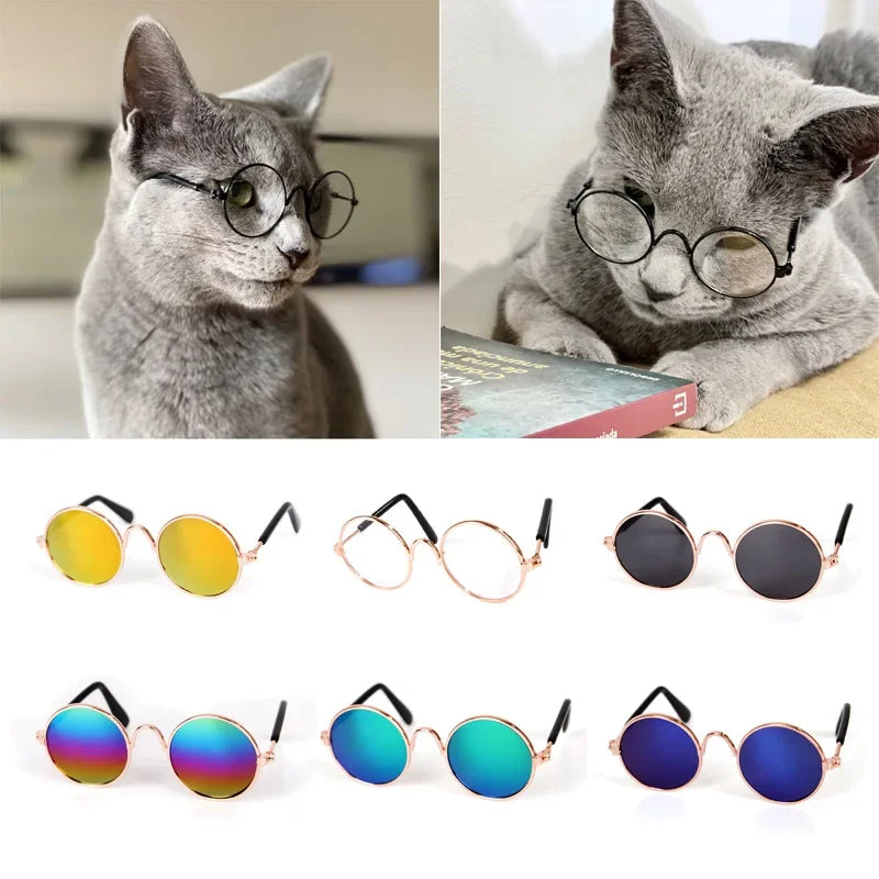 Vintage Round Pet Cat Sunglasses — Swuffy