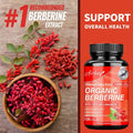 Berberine Capsules Ceylon Cinnamon Blood — Swuffy