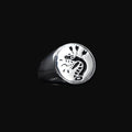 Felled Serpent Ring Stainless Steel — Swuffy