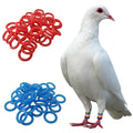 Pigeon Foot Rubber Ring Elastic — Swuffy