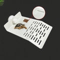 Turtle Basking Drying Resting Sun — Swuffy