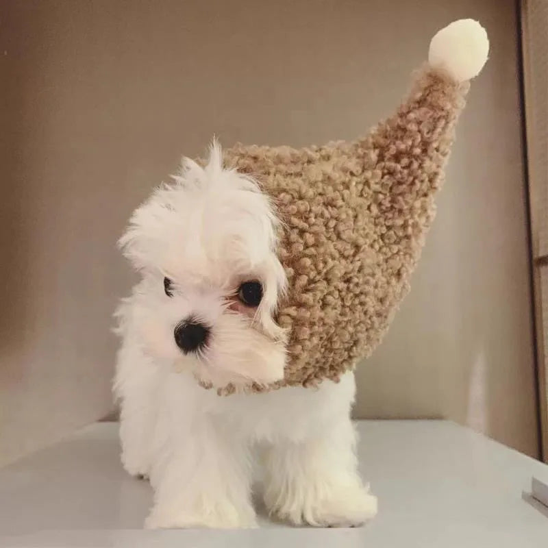 Winter Dog Beanie Hat — Swuffy
