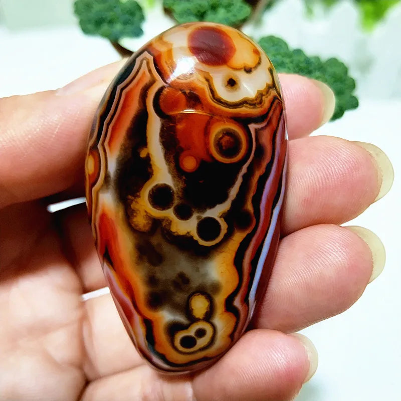 Natural Crsytal Lace Sardonyx Agate — Swuffy