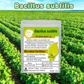 Bacillus Subtilis Microbial Organic Fertilizer — Swuffy