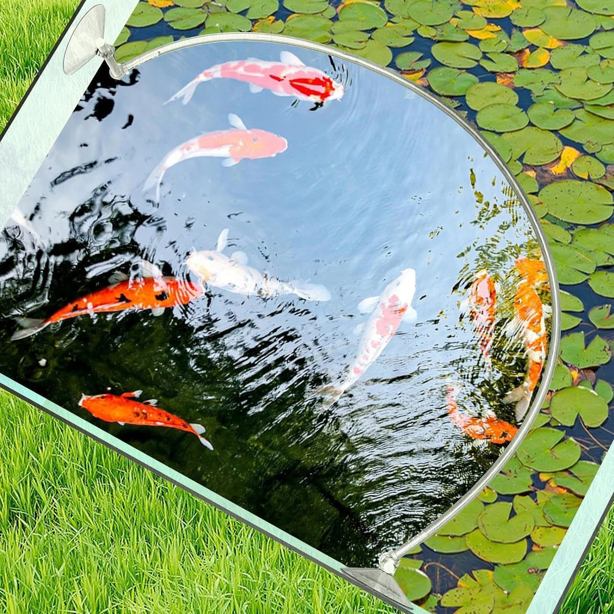 Aquarium Floating Plant Fence Rings — Swuffy