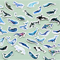 Whale Label Stickers Decorative Stationery — Swuffy