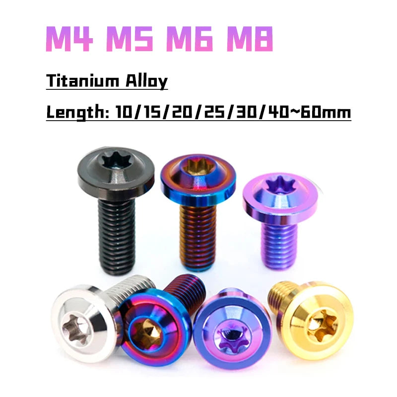 Titanium Bolts Plum Head Truss — Swuffy