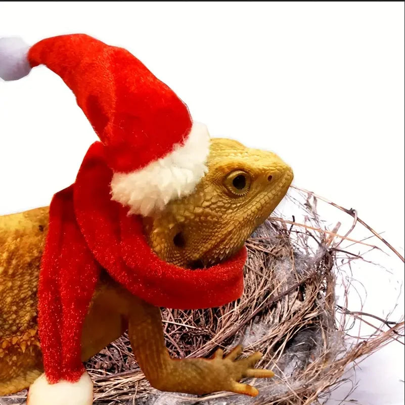 Bearded Dragon Christmas Hat — Swuffy